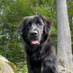 Meet your Posher, Kelsey